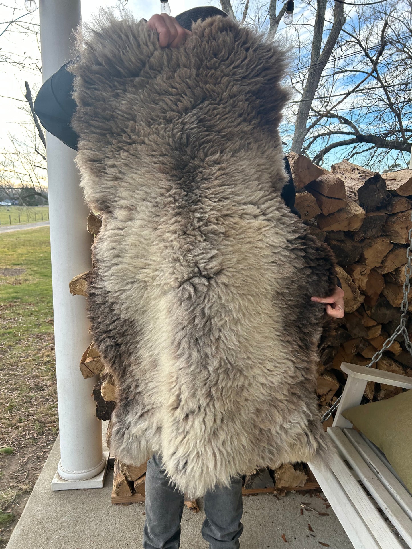 Sheep Hides