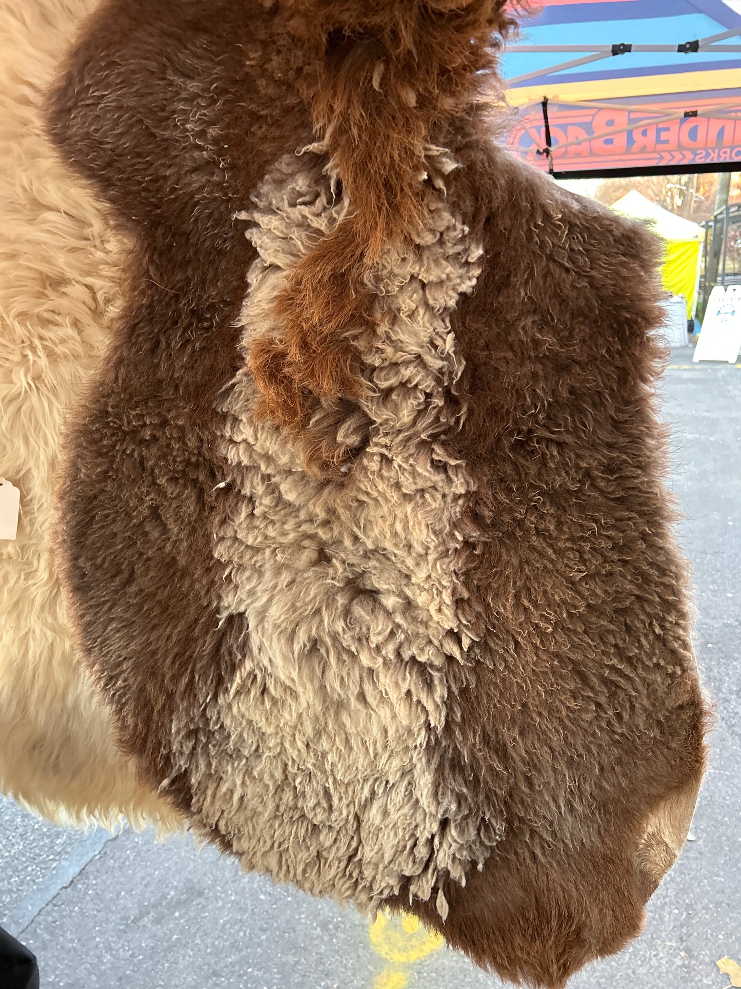 Sheep Hides