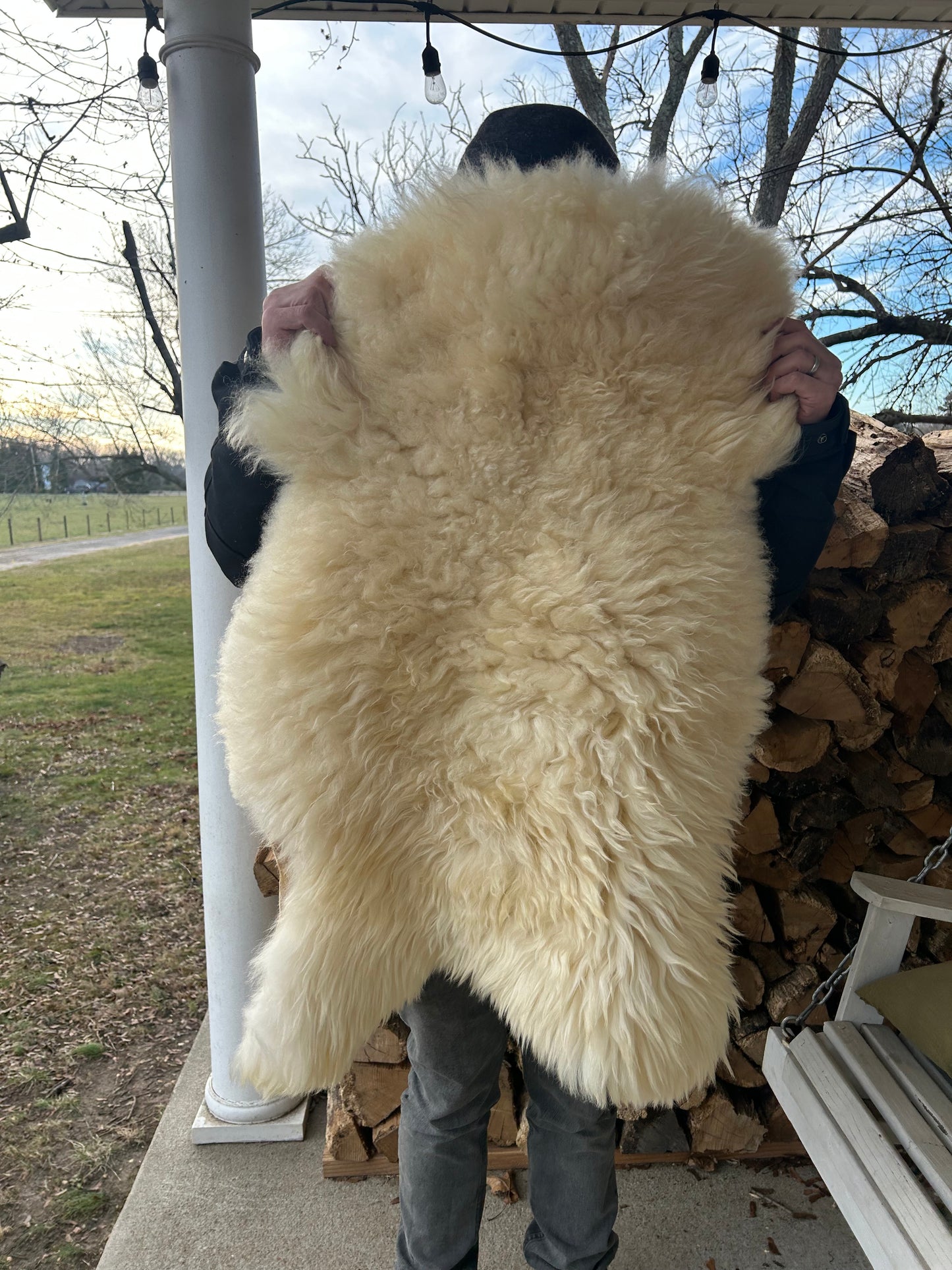 Sheep Hides