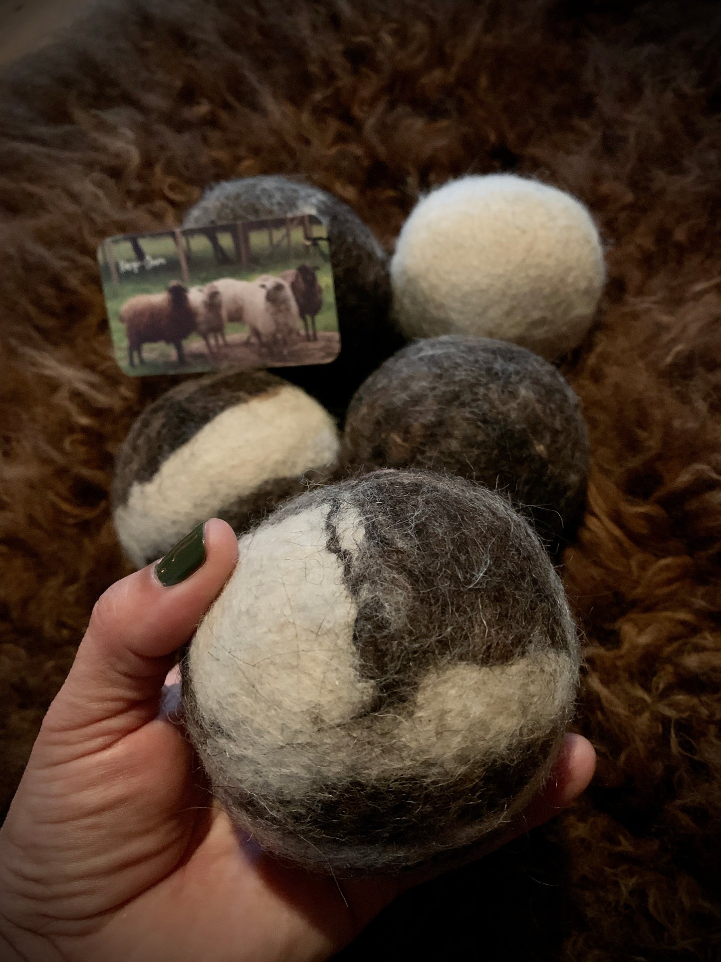 Navajo-Churro Wool Dryer Ball